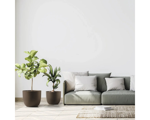 Wohnzimmer mit grüner Couch, Kissen, Topfpflanzen und Teppich