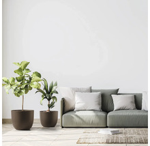 Helles Wohnzimmer mit Couch, Kissen und Pflanzen in Töpfen.