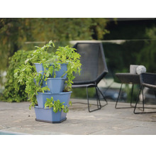 Dreistufiger Pflanzenturm mit Kartoffelpflanzen auf Terrasse