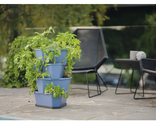 Dreistufiger Pflanzenturm mit Kartoffelpflanzen auf Terrasse