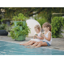 Zwei Mädchen sitzen am Pool mit Getränken und blicken auf einen Pflanzturm mit Pflanzen.