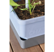 Nahaufnahme eines Pflanzkastens mit Pflanze und Erde