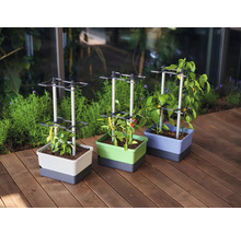 Drei Pflanzkästen mit Rankhilfen und verschiedenen Pflanzen auf einer Holzterrasse.