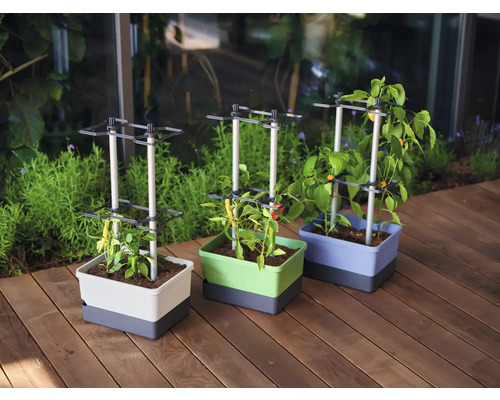 Drei Pflanzkästen mit Rankhilfen und verschiedenen Pflanzen auf einer Holzterrasse.