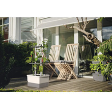 Garten mit Pflanzgefäß mit Kletterhilfe und Sitzgelegenheiten