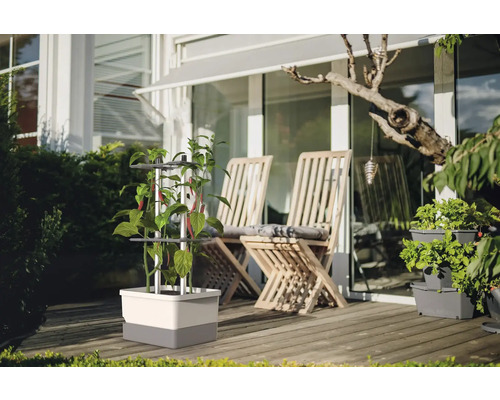 Garten mit Pflanzgefäß mit Kletterhilfe und Sitzgelegenheiten