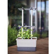 Pflanzkasten mit Rankhilfe für Pflanzen