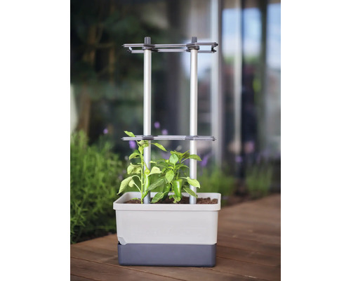 Pflanzkasten mit Rankhilfe für Pflanzen