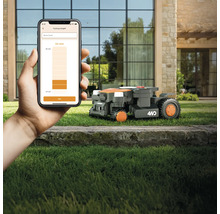 Ein Rasenmähroboter wird per Smartphone App gesteuert, um die Schnitthöhe einzustellen.
