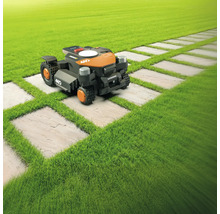 Mähroboter auf Rasen mit Steinplattenweg