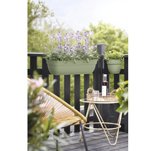 Balkonszene mit Blumenkästen, Tisch und Stuhl auf einem Balkon