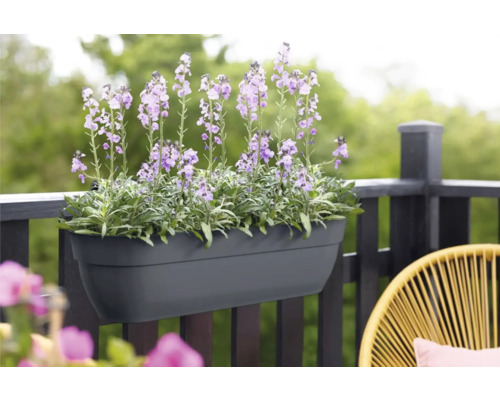 Balkonkasten mit blühenden Blumen am Geländer