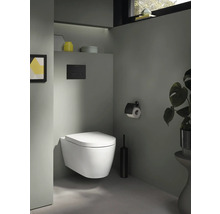 Modernes Badezimmer mit wandhängendem WC, Betätigungsplatte, Toilettenpapierhalter und Zimmerpflanze