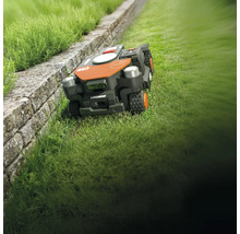 Landroid Mähroboter auf Rasen neben einer Mauer