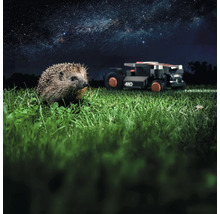 Igel im Gras mit Rasenmähroboter im Hintergrund unter Sternenhimmel