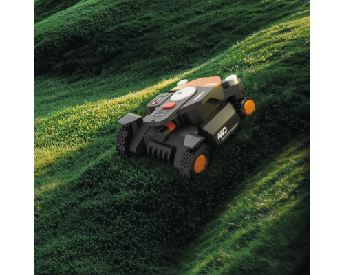 Roboterrasenmäher auf einer Rasenfläche