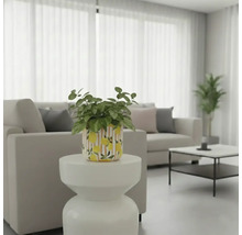 Helle, freundliche Wohnzimmerszene mit Pflanze in einem Topf mit Zitronenmuster auf einem Beistelltisch.