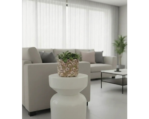 Wohnzimmer mit Sofa, Tisch und Topfpflanze