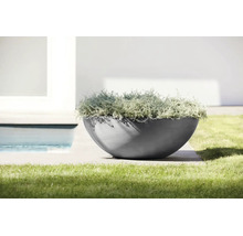 Moderne Pflanzschale in Halbkugelform mit silberfarbenen Pflanzen auf einer Terrasse neben einer Rasenfläche und einem Pool.