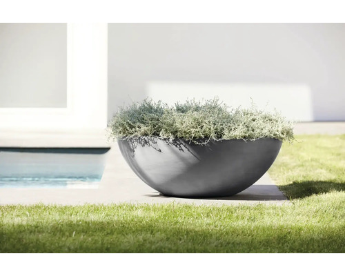 Moderne Pflanzschale in Halbkugelform mit silberfarbenen Pflanzen auf einer Terrasse neben einer Rasenfläche und einem Pool.
