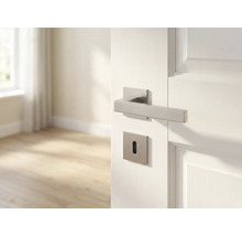 Tür mit modernem Türdrücker aus Metall