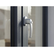 Fenster mit Fenstergriff