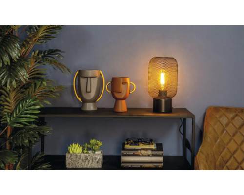 Dekorative Szene mit Tischlampe, Vasen in Kopfdesign und Pflanze auf einem Regal.