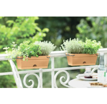 Zwei Balkonkästen mit Kräutern auf einem Balkongeländer