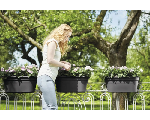 Frau pflegt Blumen in Balkonkästen auf einem Balkongeländer