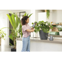 Frau bewässert Zimmerpflanze mit Sprühflasche in heller Küche.