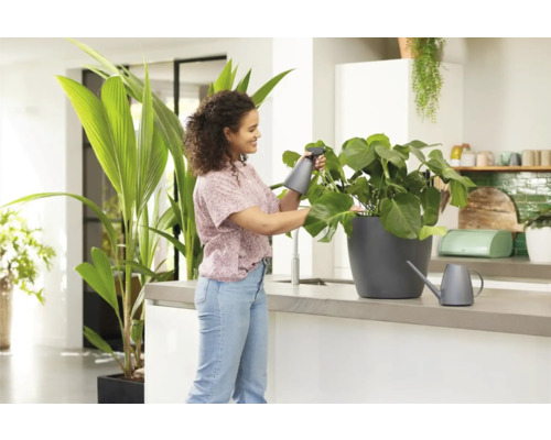 Frau bewässert Zimmerpflanze mit Sprühflasche in heller Küche.