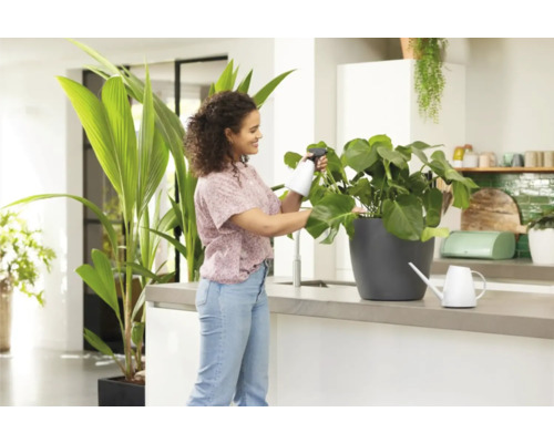 Frau besprüht Zimmerpflanze mit Sprühflasche in heller Küche