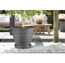 Grauer Blumentopf mit Pflanze im Außenbereich