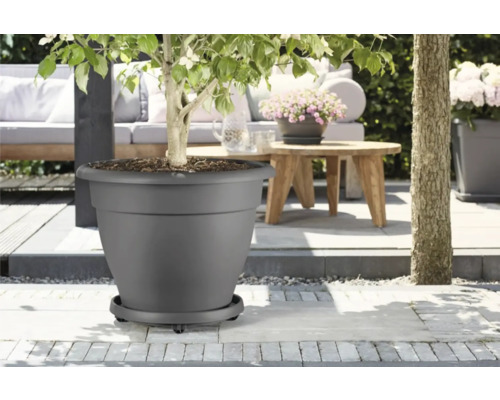 Grauer Blumentopf mit Pflanze im Außenbereich