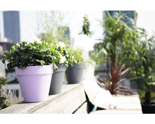 Blumen in Pflanzgefäßen auf einer Terrasse