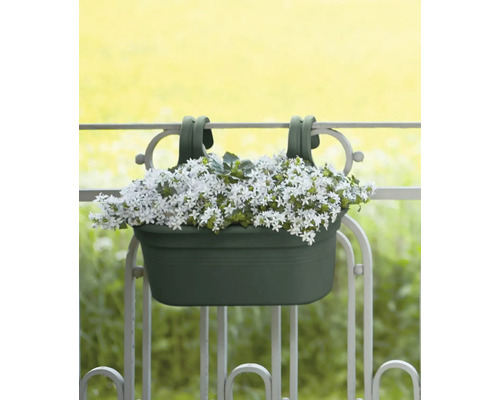 Balkonkasten mit weiß blühenden Pflanzen hängt an einem Balkongeländer.