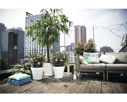 Dachterrassen-Szene mit Pflanzen in Töpfen und Sofa vor einer Stadtkulisse