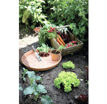 Gemüsegarten mit geerntetem Gemüse in einem Holzkorb, Pflanzschale und Gartengeräten