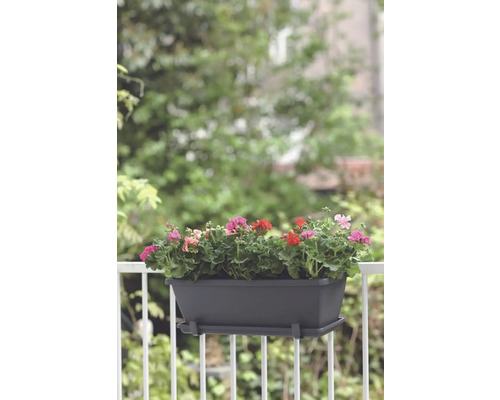 Blumenkasten mit bunten Geranien auf einem Balkongeländer