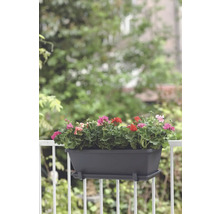 Blumenkasten mit bunten Geranien auf einem Balkongeländer