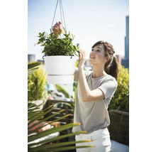 Frau betrachtet eine Hängeampel mit Mandevilla-Pflanze auf einer Terrasse.