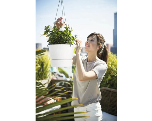 Frau betrachtet eine Hängeampel mit Mandevilla-Pflanze auf einer Terrasse.