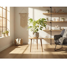 Heller Wohnraum mit Zimmerpflanze, Sessel und Wandregal