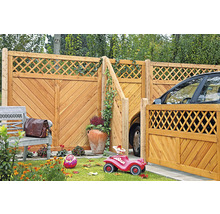 Holzzaun mit Tor und Gartenaccessoires im Außenbereich