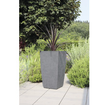 Pflanzgefäß aus Beton mit Pflanze im Garten