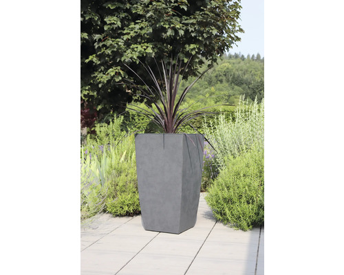 Pflanzgefäß aus Beton mit Pflanze im Garten