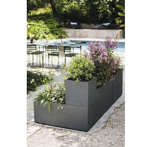 Pflanzkasten mit verschiedenen Pflanzen im Außenbereich.