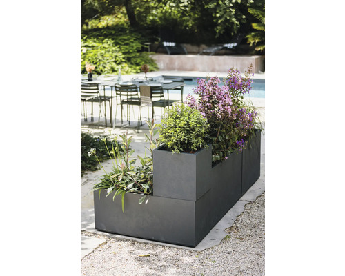 Pflanzkasten mit verschiedenen Pflanzen im Außenbereich.