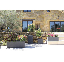 Verschiedene Pflanzgefäße mit Pflanzen vor einem Gebäude