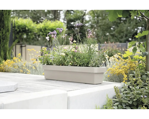 Blumenkasten mit verschiedenen blühenden Pflanzen im Garten